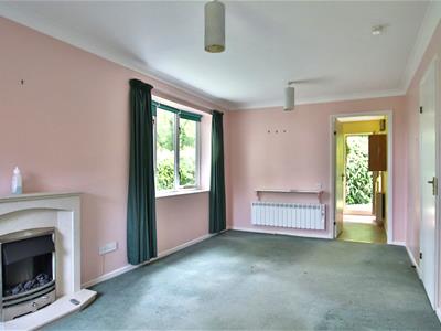Picture 11